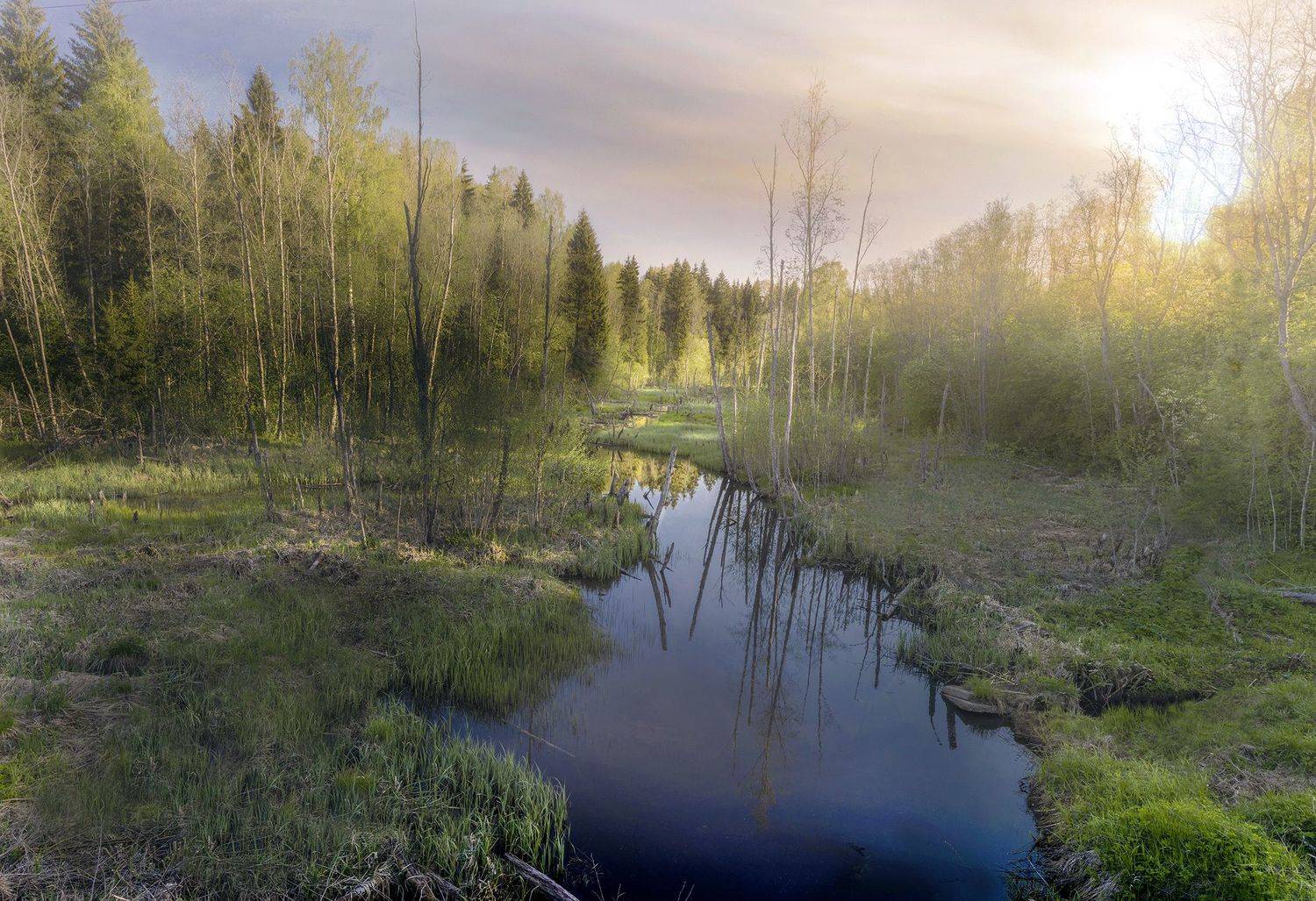 у ручья. Автор: Волоцков Александр , Волоцков Александр