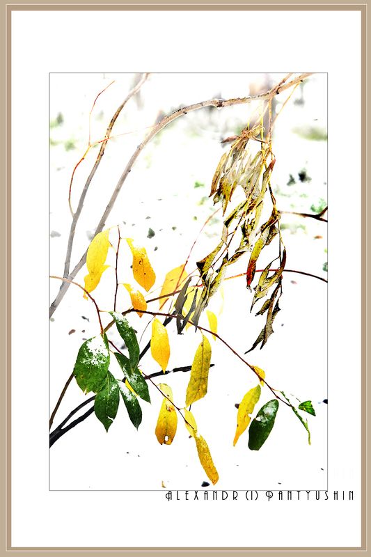 Восточный мотивphoto preview