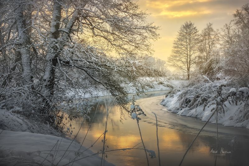 Zimowy poranekphoto preview