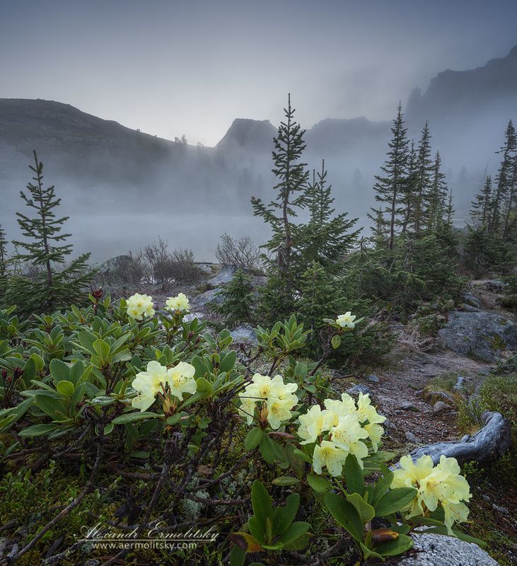 ергаки, ergaki ~ Сон Саяна ~ фото превью