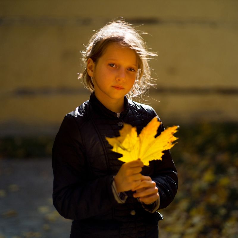 золото, листик, контражур, Golden reflectorphoto preview