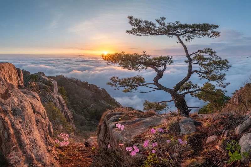 villainphoto preview