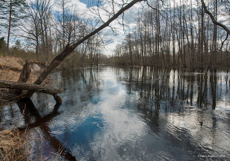 весна, разлив, большая вода, лесная река, май, мещёра, рязанская область. Вешние водыphoto preview