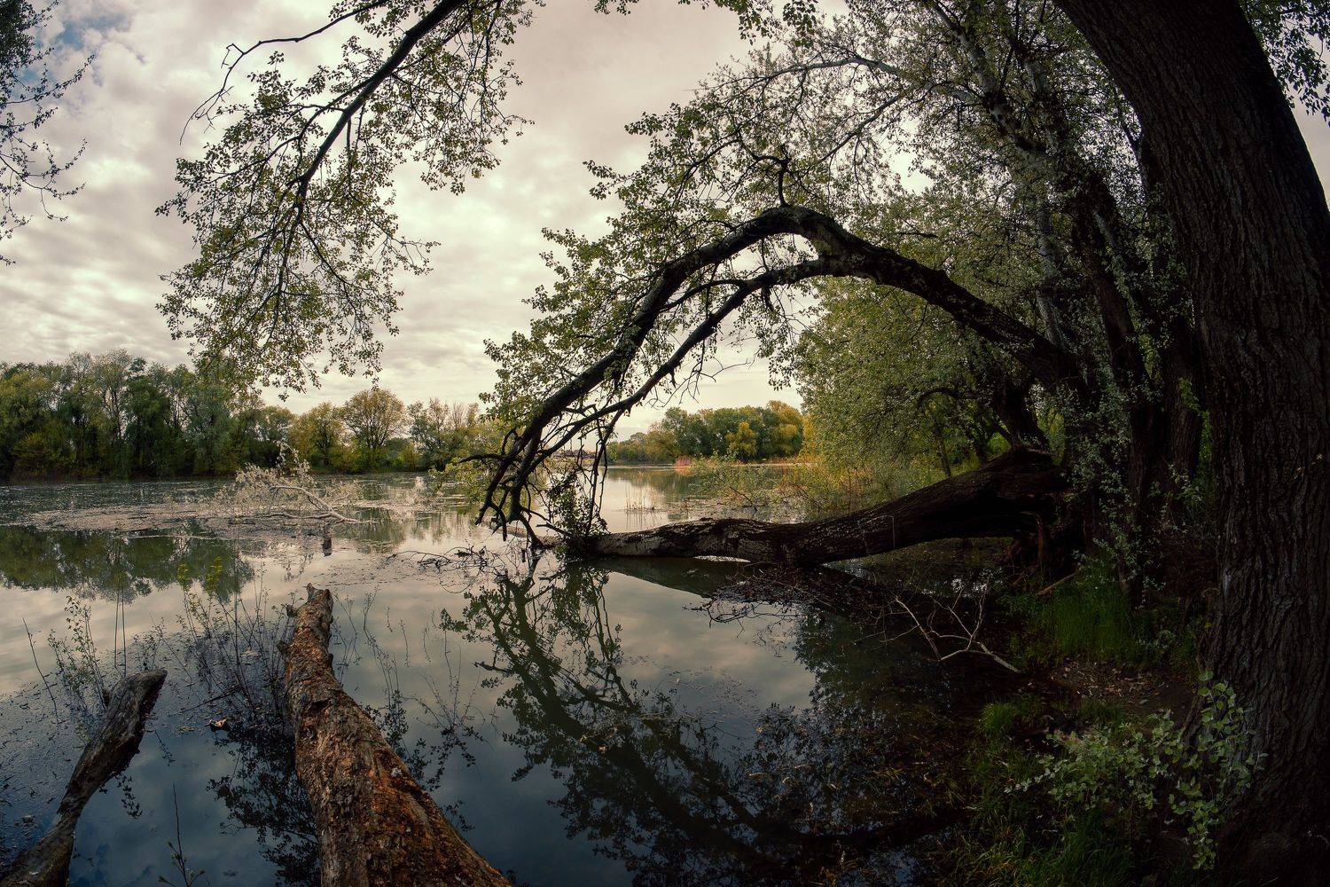 , Вадим Коваленко