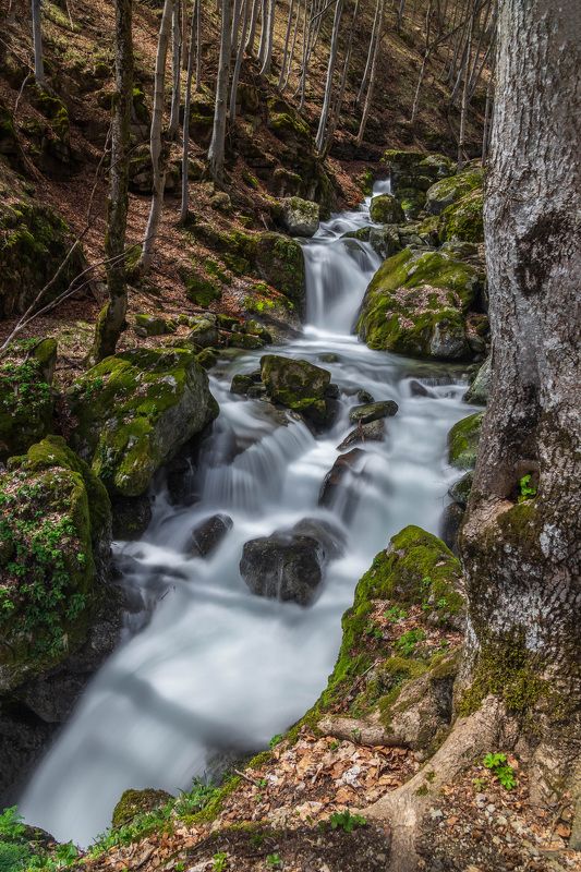 river nature landscapes hiking autumn  Riverphoto preview