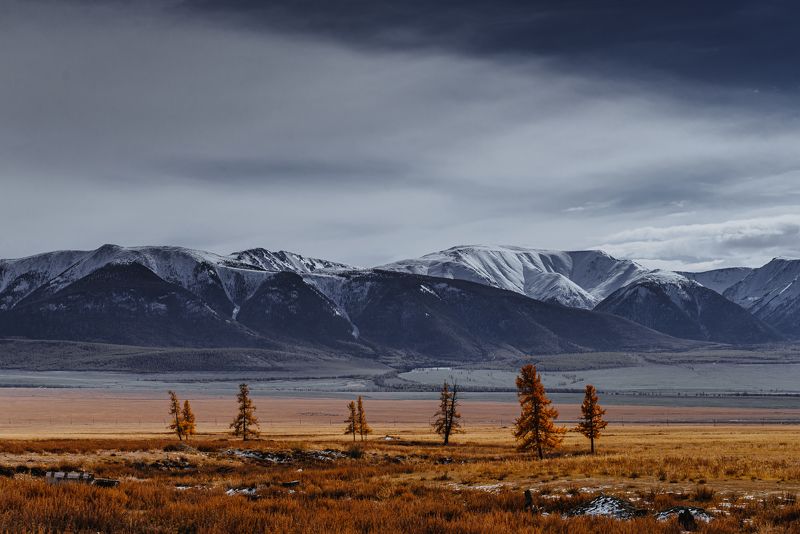 горы, горный алтай, чуйский тракт, пейзаж, алтай, дорога, россия Виды чуйского трактаphoto preview