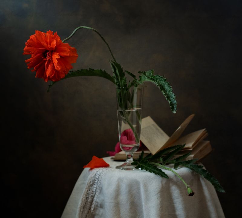 натюрморт, цветы, мак Макphoto preview