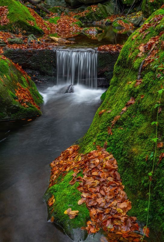 river waterfall nature landscapes  the colors of autumn photo preview