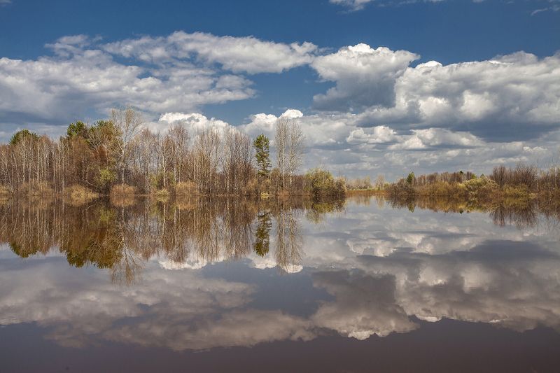 весна, река, половодье,деревья Половодье на Вяткеphoto preview