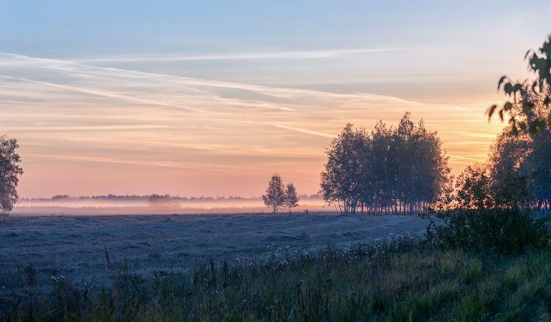 пейзаж, утро, заря, осень, туман, лес, поле, На заре..photo preview