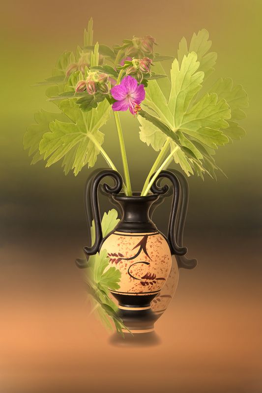 color, colors, concept, conceptual, flower, flowers, geranium, impression, nature, photography, spring, springtime, still life, vase, Geranium Impressionphoto preview