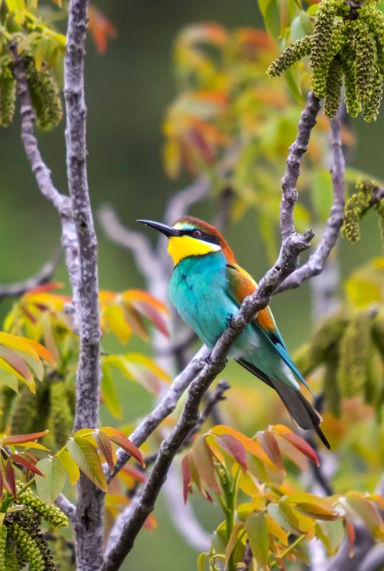 Дождливым днем...photo preview