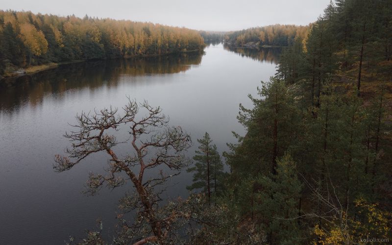 карелия, карельский перешеек, ладога, выборг, беличий залив, кильписаарет, башня тура Затерянный мир севераphoto preview