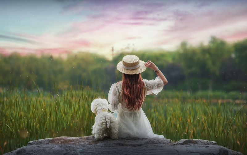 人像 背影 狗 宠物 动物 狗 背影photo preview