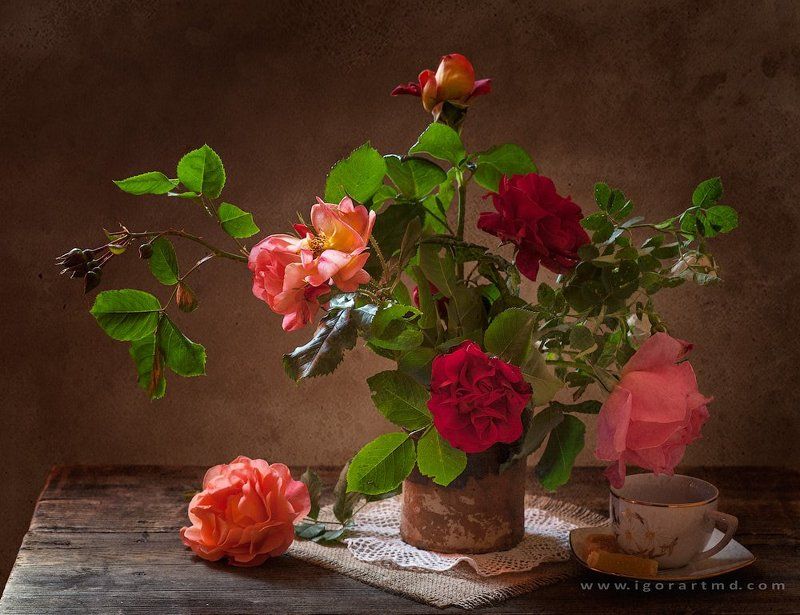 morning rosyphoto preview