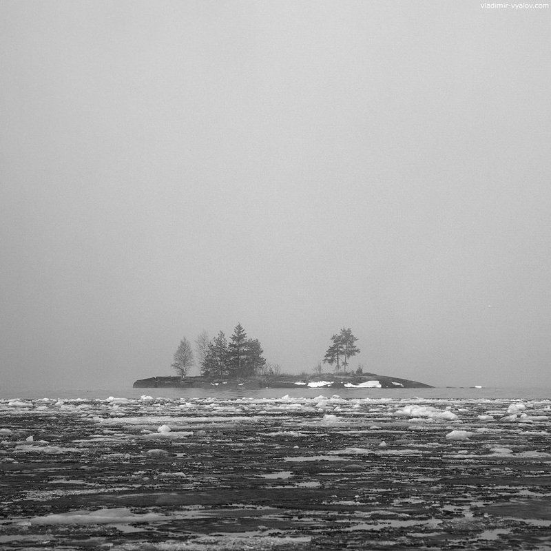 120, 6x6, black and white, bronica, film, ice, island, karelia, lake, medium format, russia, spring, square, travel, water, карелия, озеро, онега, пленка, весна, чб, лед, остров photo preview