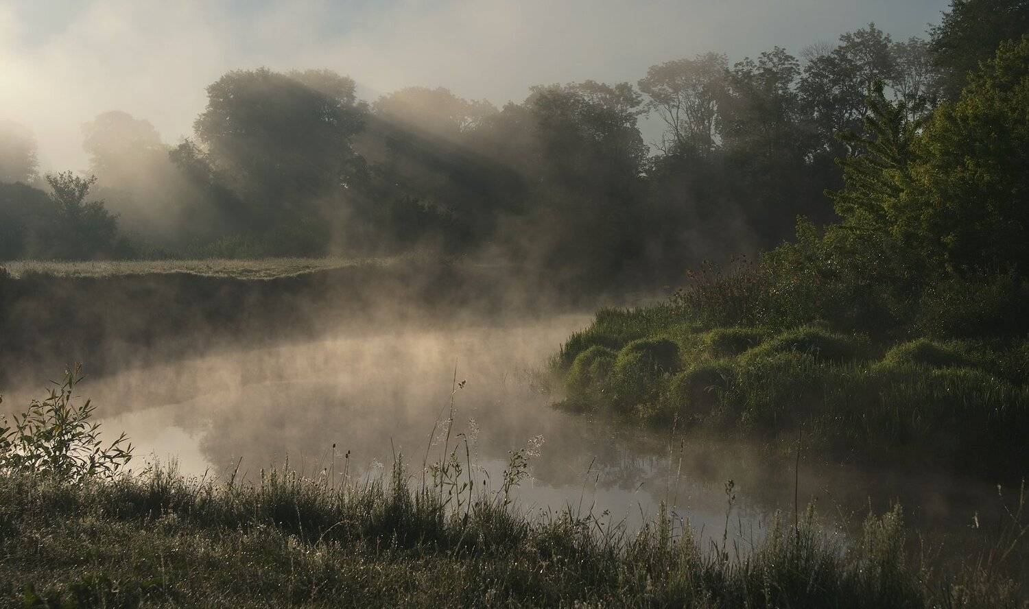 солнцетуман..... Автор: Николай Шахманцир , Николай Шахманцир