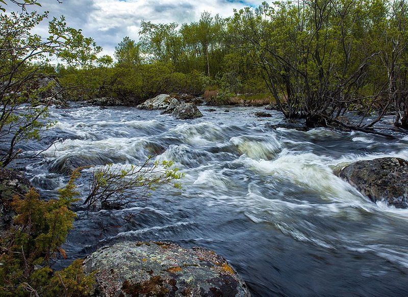 Ваенга фото превью