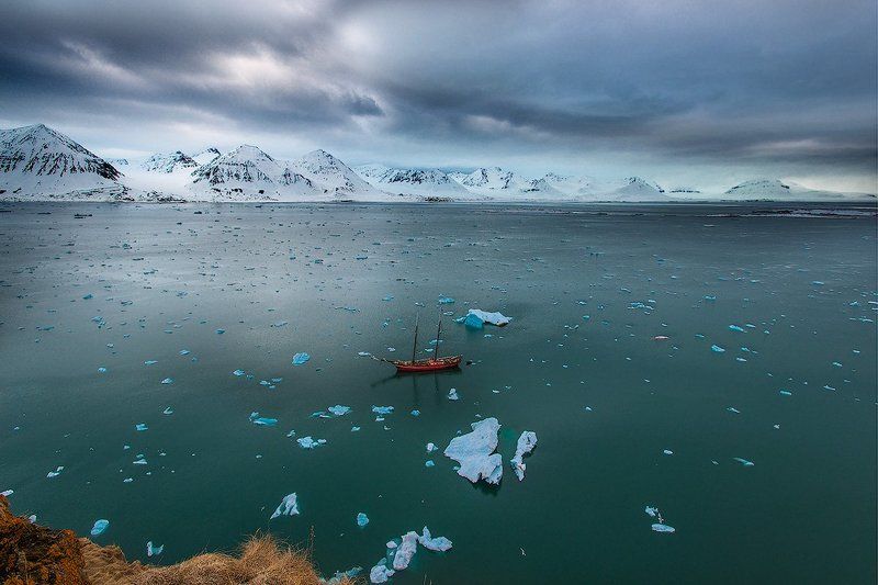 Суровое обаяние Арктикиphoto preview