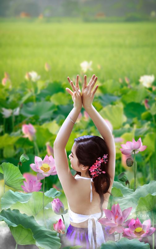 unochan dream lotusphoto preview