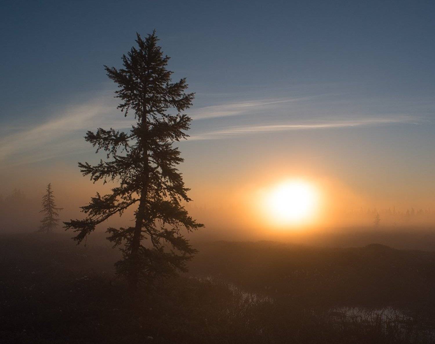 туман, рассвет, сибирь, янао, север, Андрей Снегирёв