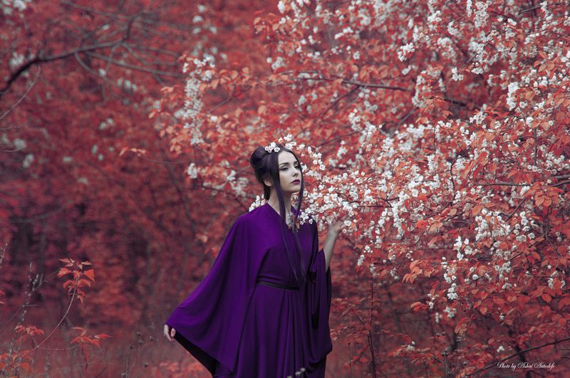 Blossom, Forest, Geisha, Japan, Redtrees Red blossomphoto preview