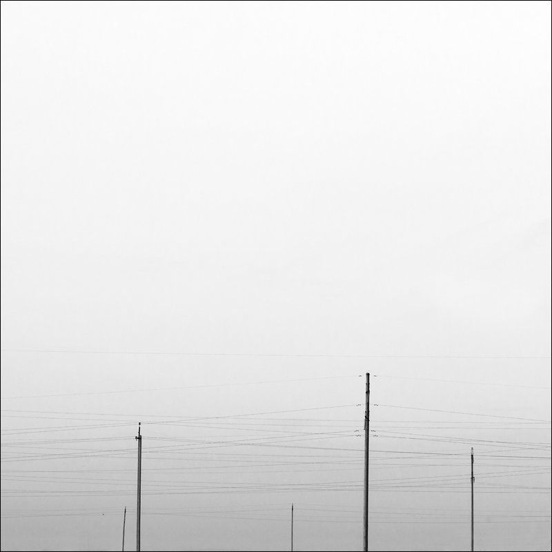 #11105. Electric gardenphoto preview