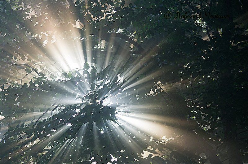 пейзаж с лучамиphoto preview