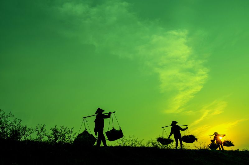 go homephoto preview