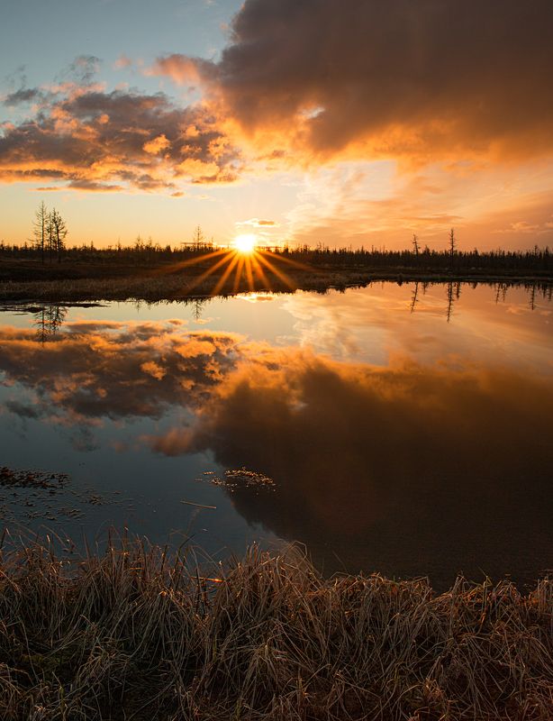 Весенний вечерphoto preview