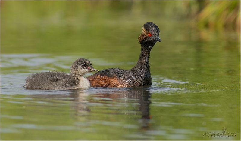 Мама и дитяphoto preview