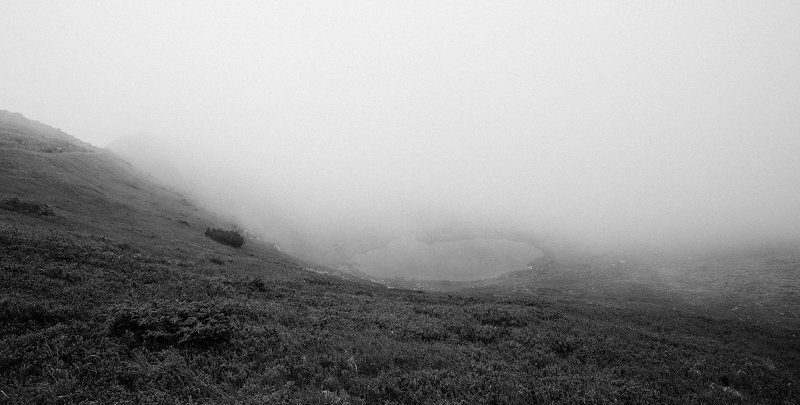 Горы, Карпаты, Несамовыте, Украина, Черно-белое фото, Шпыци Туманное настроение Черногорыphoto preview