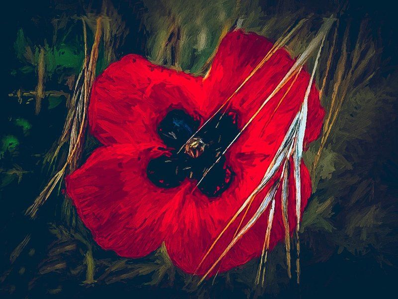 Цветыphoto preview