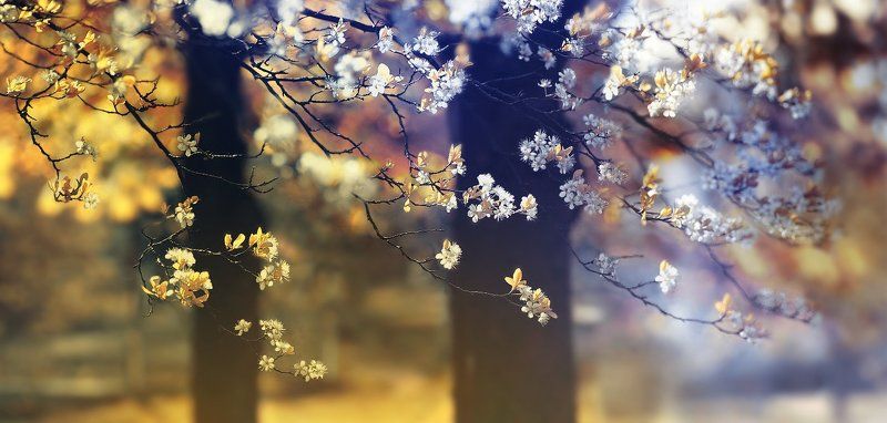 Весенняяphoto preview