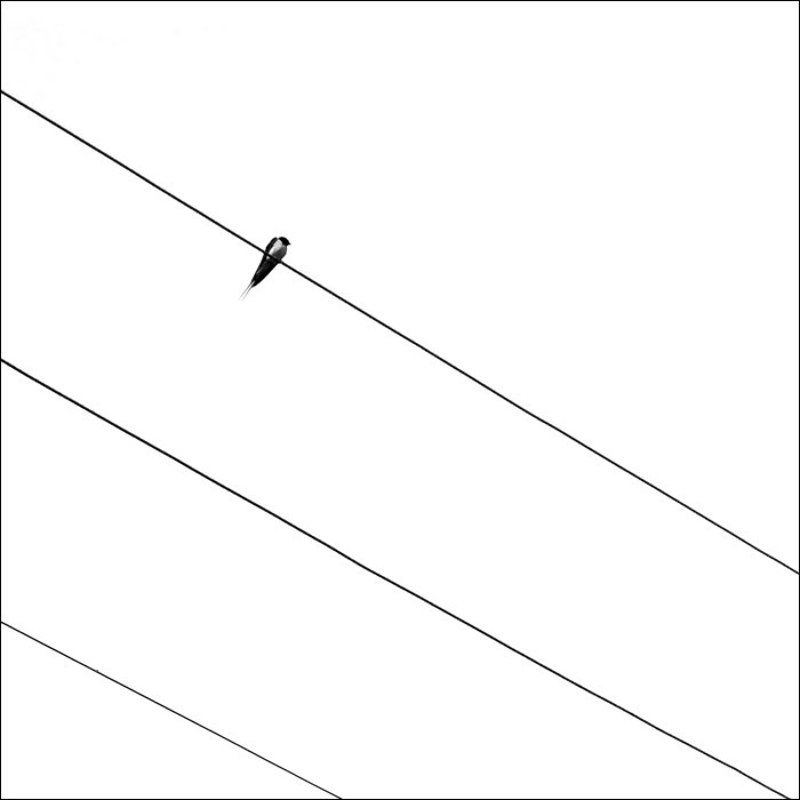 #2409. Notephoto preview