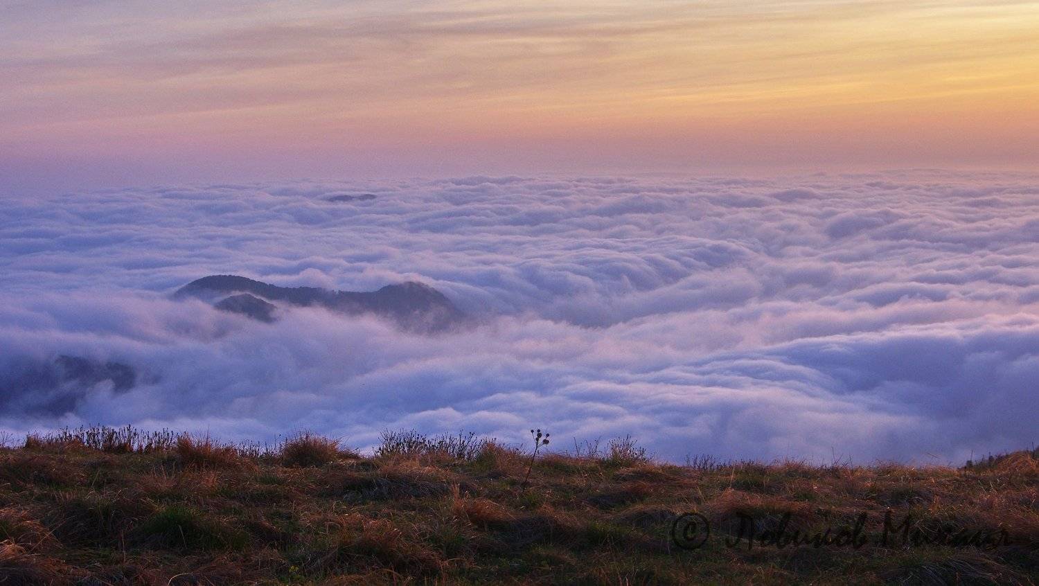 , Ловиков Михаил