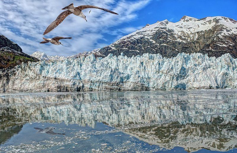 Аляскаphoto preview