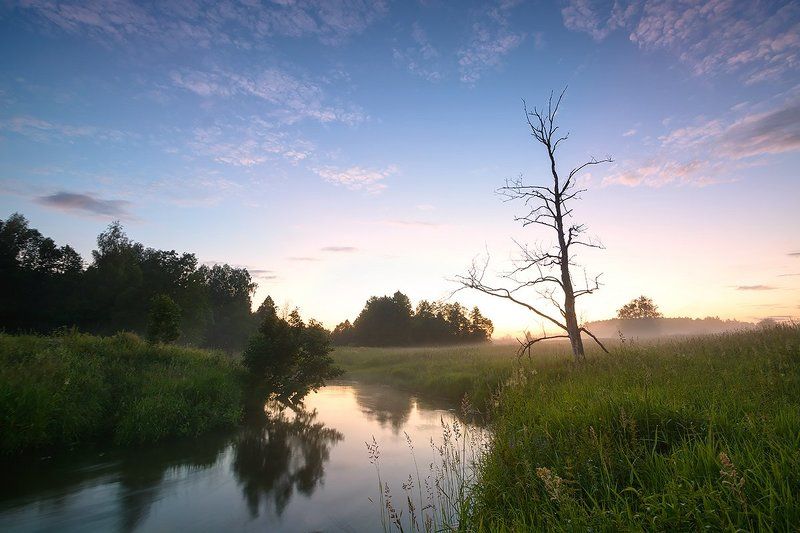 природа, река Созерцая...photo preview