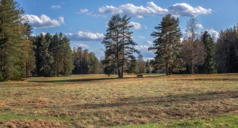апрель павловск поле солнце небо облака сосны деревья скамья По полям спешит апрель...photo preview