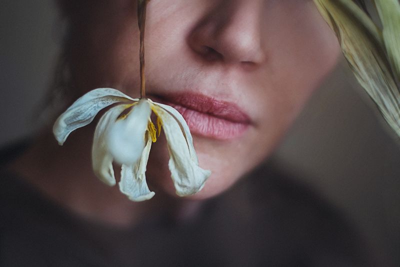 Тюльпаныphoto preview