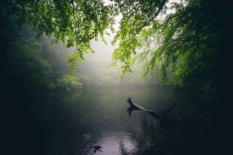 крым ***photo preview