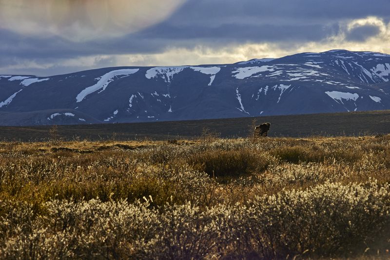 Як на горном платоphoto preview