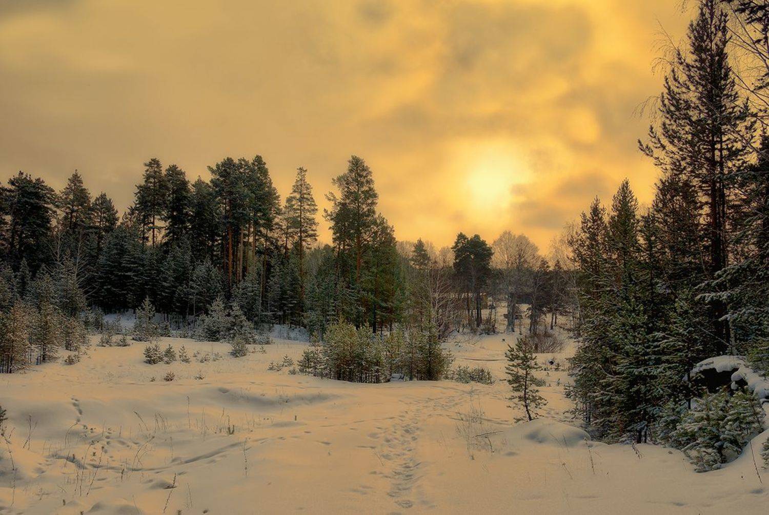 Автор: Виктор , Виктор