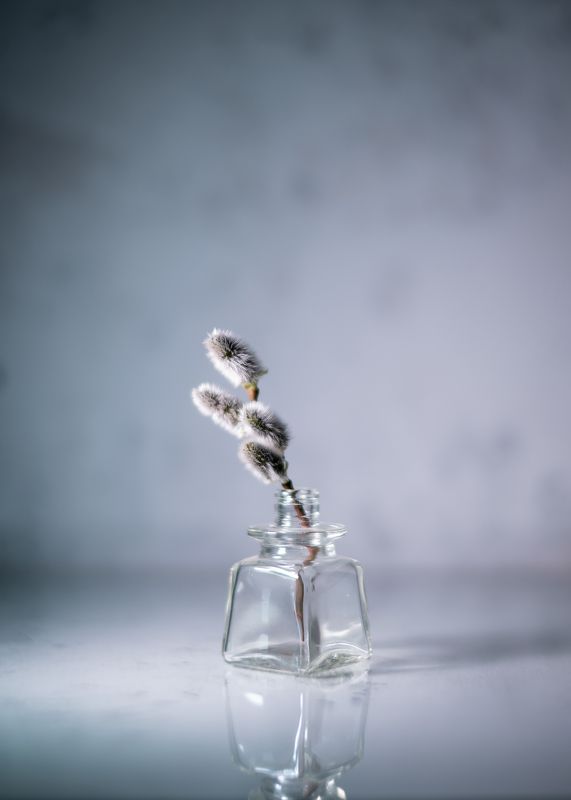 Верба весна натюрморт минимализм серый Вербноеphoto preview