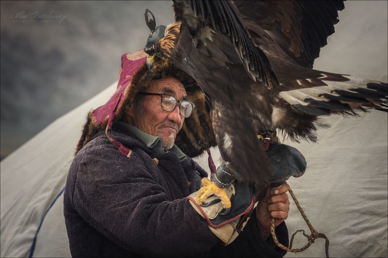 СТАРИК и ПТИЦАphoto preview