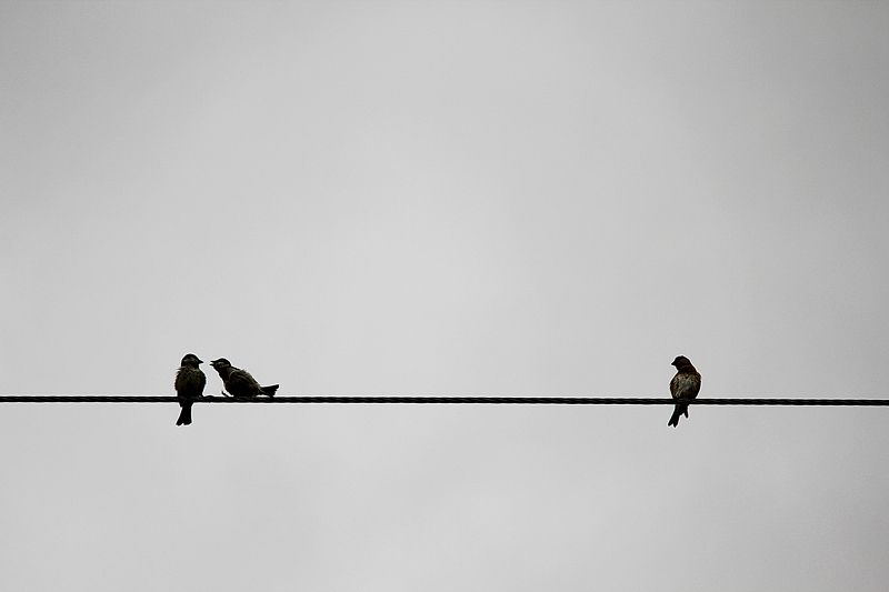 Soul meets soul on lover\'s lips.photo preview