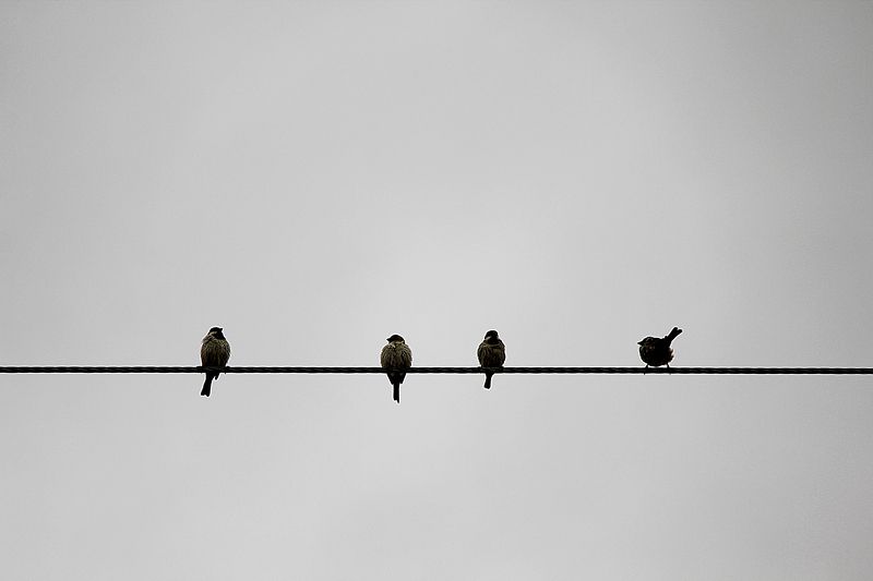 Long distance lovephoto preview