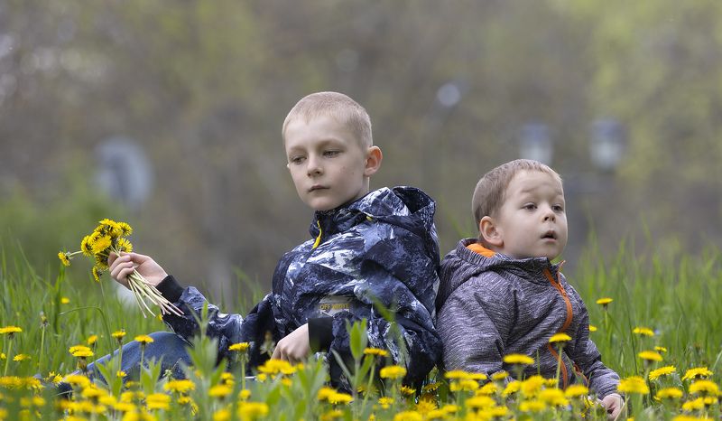 Одуванчикиphoto preview