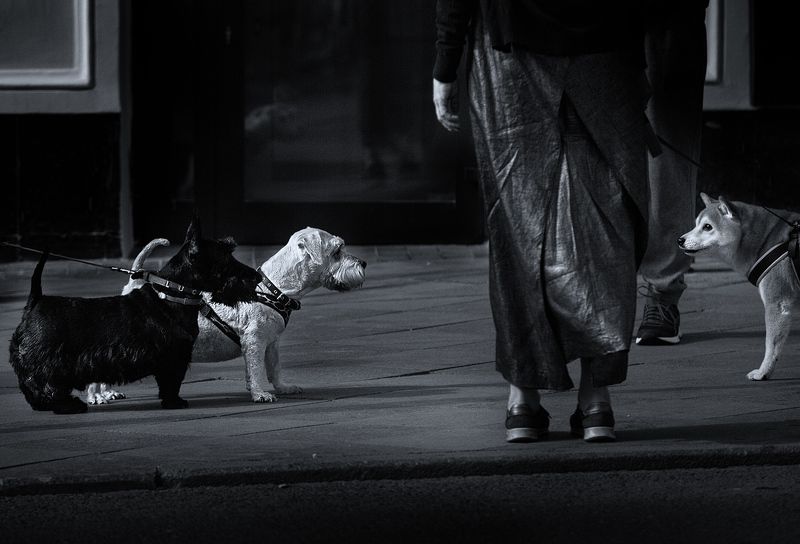 black and white фото превью