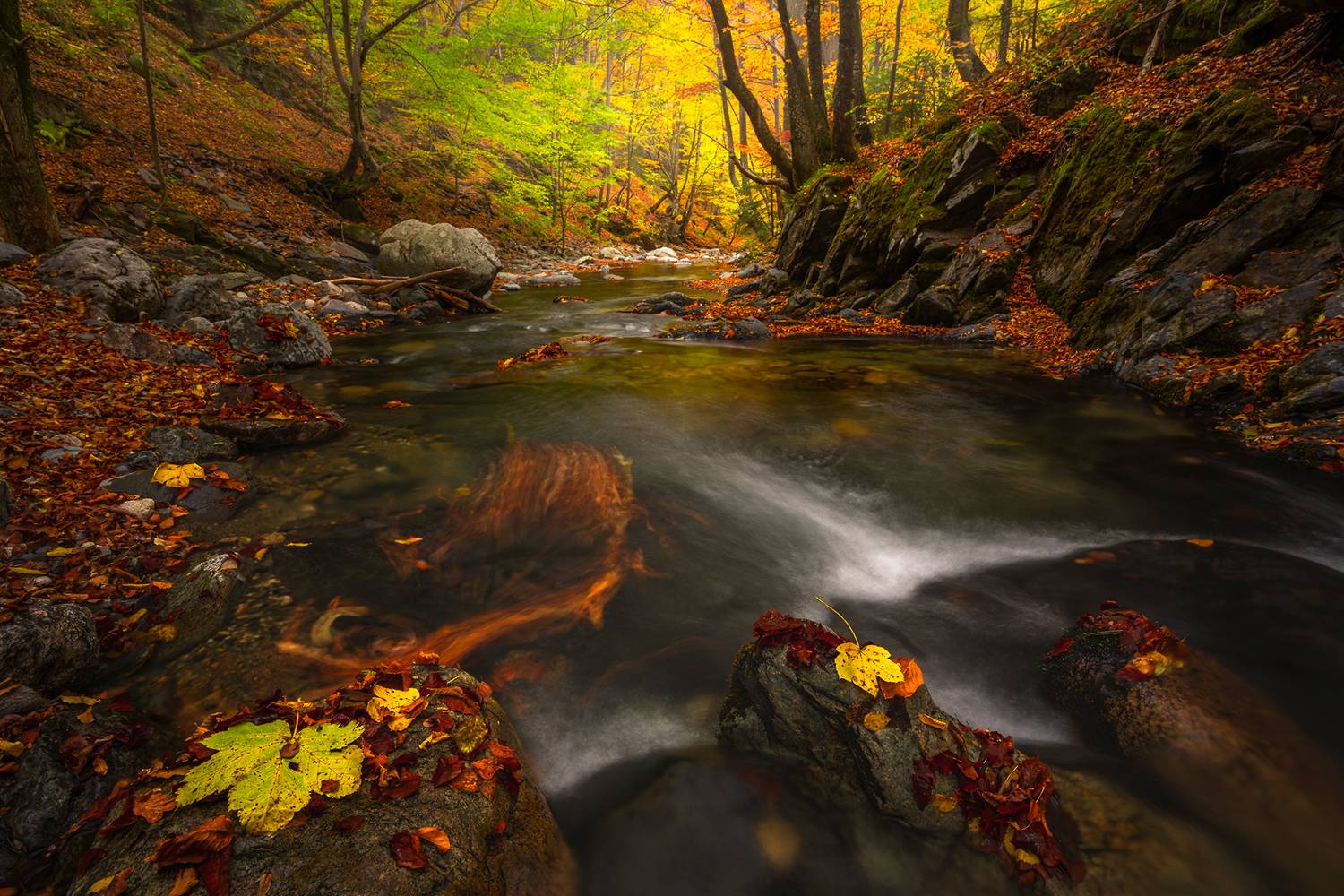 landscape, nature, scenery, forest, wood, autumn, fall, river, mountain, staraplanina, bulgaria, лес, Александров Александър